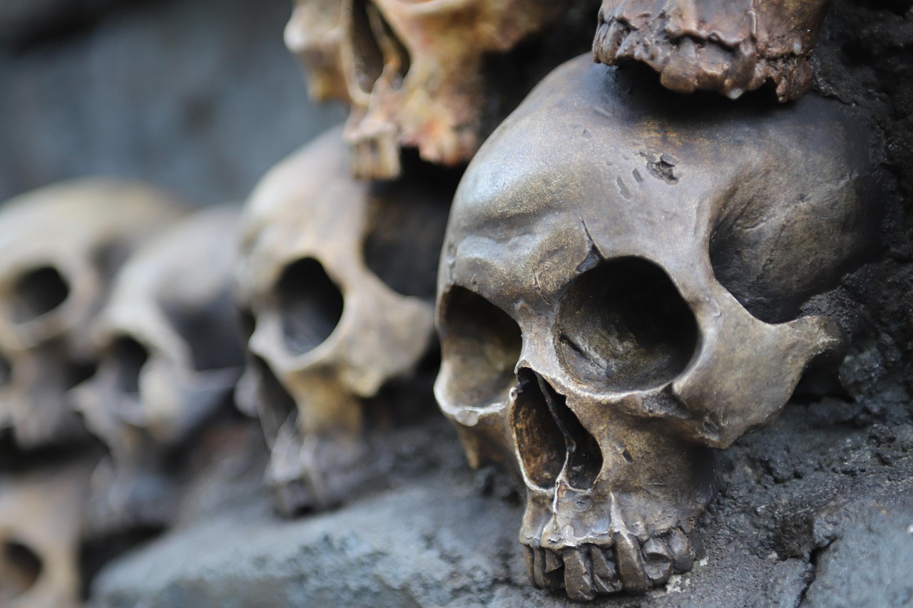 Skulls - free online jigsaw puzzle photo