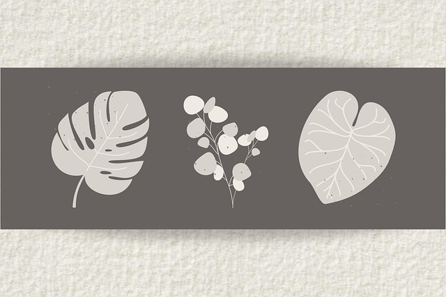 Free background leaves map illustration