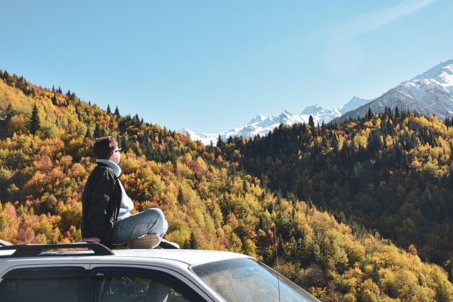 Free Young Woman Car photo and picture