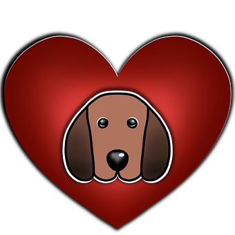 Dyr, Kæledyr, Hundehvalp, Hund, Venskab