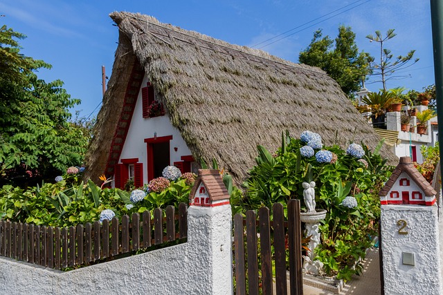 Free House Hut photo and picture
