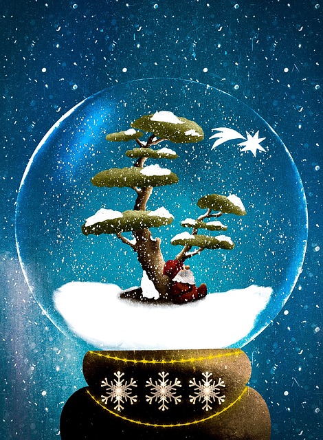 Download free HD stock image of Snow Globe Christmas Free snow globe christmas nature illustration