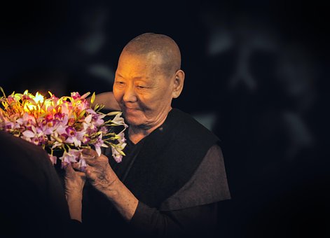 Free Buddhist Nun photo and picture