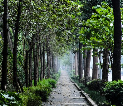 Free Green Road photo and picture