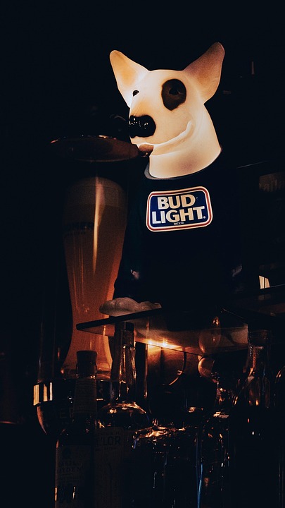 Bud Light Mascot Bar - Free photo on Pixabay - Pixabay