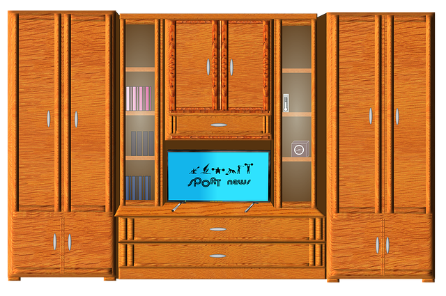Download free HD stock image of Cabinet Books Free cabinet books living room illustration
