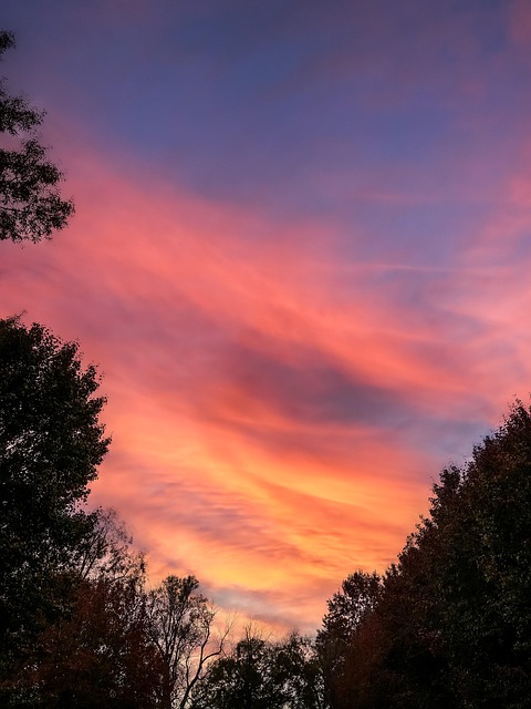 Free Color Nature photo and picture