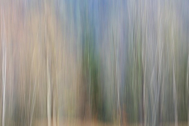 Free Abstract Nature photo and picture