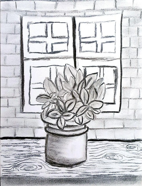Free Plant Window photo and picture