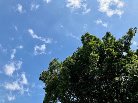 Free Sky Nature photo and picture