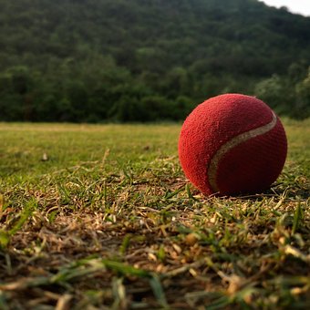 Free Cricketball Ball photo and picture