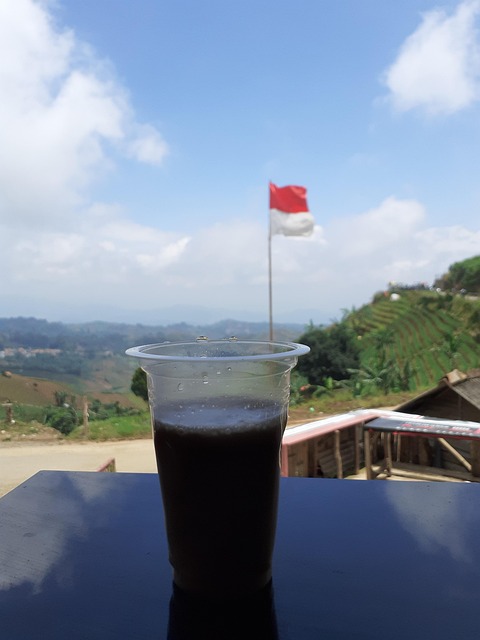 Indonesisch, Kaffee, Natur, Landschaft