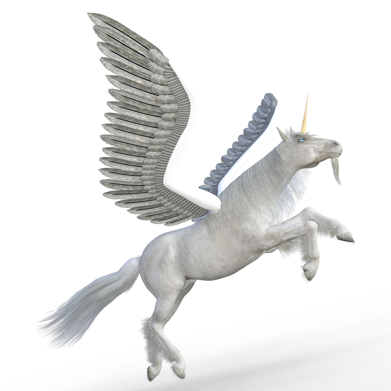M s De 100 Im genes Gratis De Pegaso Y Unicornio Pixabay