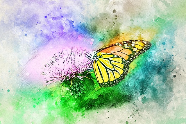 Free flower butterfly insect illustration