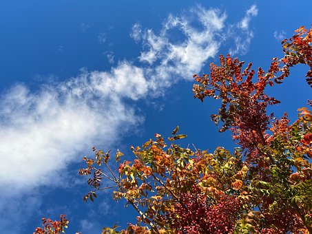 Otoño, Octubre, Noviembre, Cielo, Nubes
