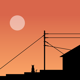 Energie, Licht, Natur, Elektrisch
