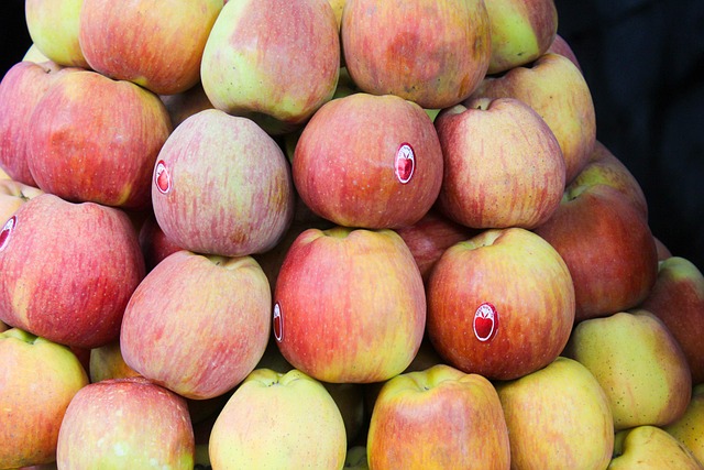 Maçãs, Frutas, Fazenda, Comida, Colheita