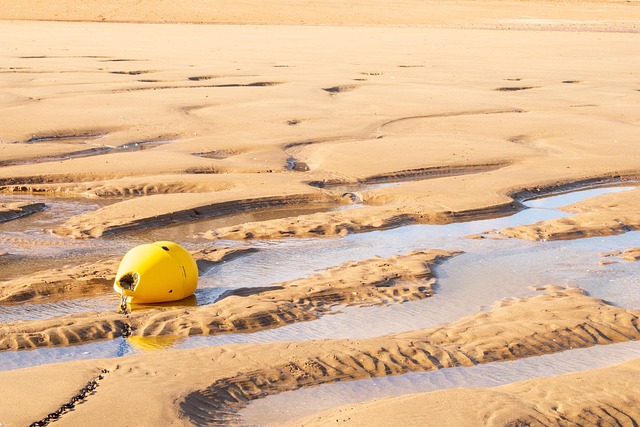 Free Beach Sable photo and picture