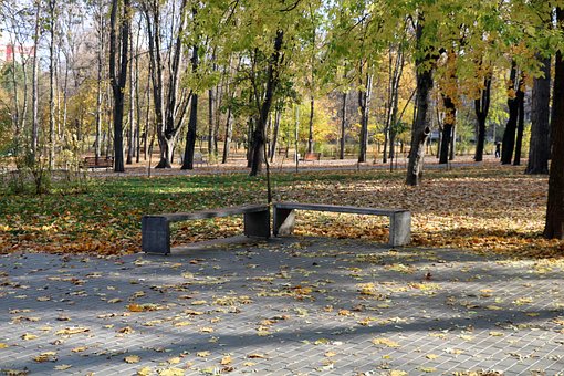 Free The Autumn Leaves photo and picture