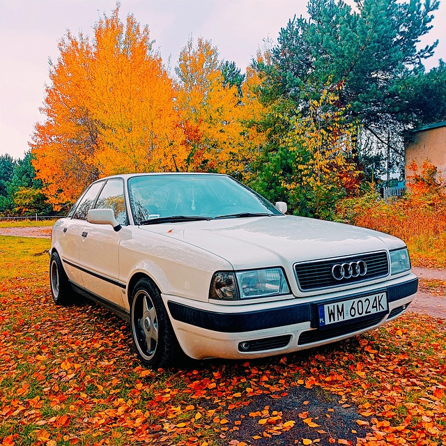 Audi, Auto, Das Fahrzeug, Stimmen