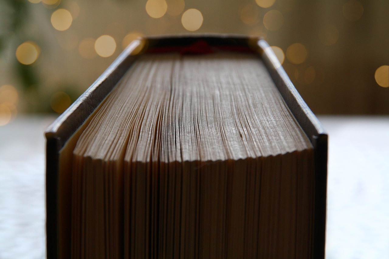 20 000 Free Book Of Accounts Book Images Pixabay