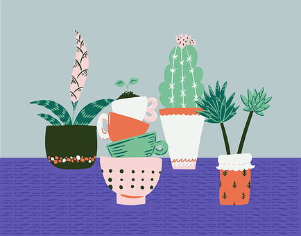 Free Cactus Cacti vector and picture