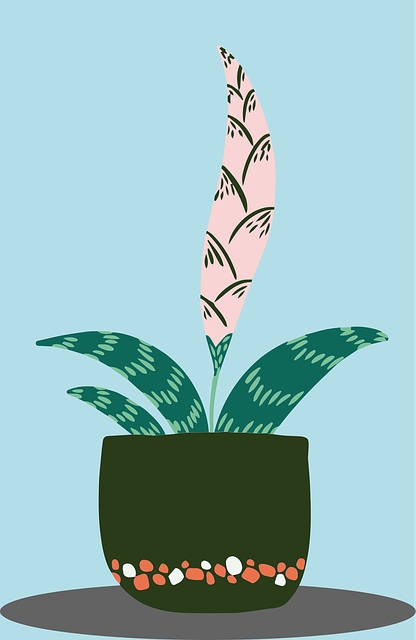 Free Plants Succulent vector and picture