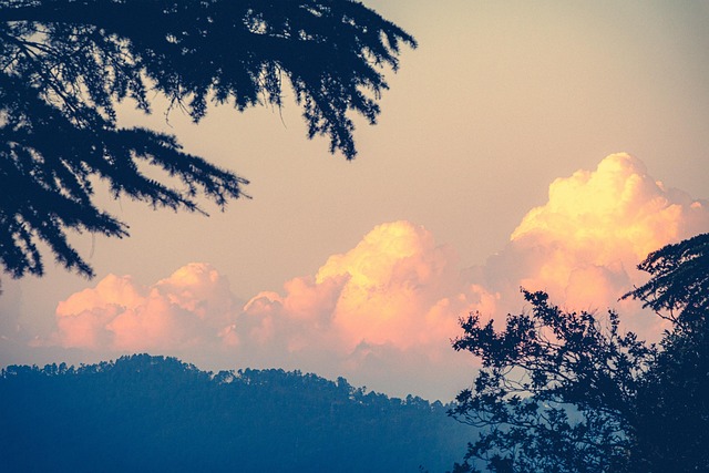 Free Sunset Nature photo and picture