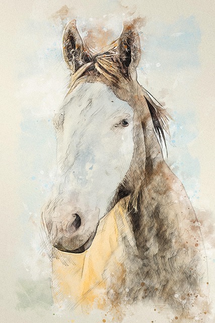 Free horse animal portrait illustration