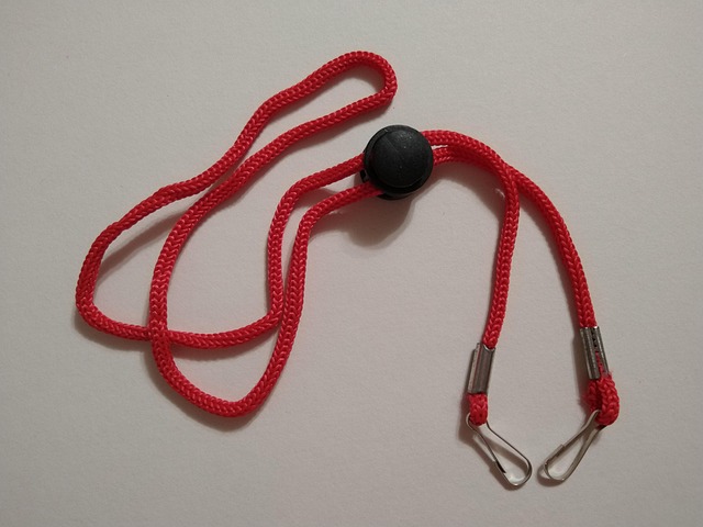 Free Lanyards Lanyard photo and picture