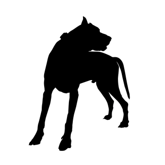 Free Dog Silhouette illustration and picture