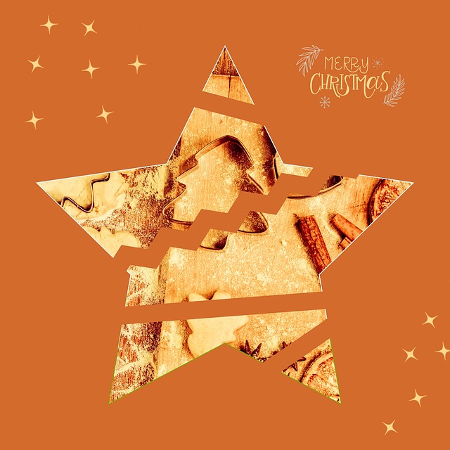Free christmas decoration star illustration