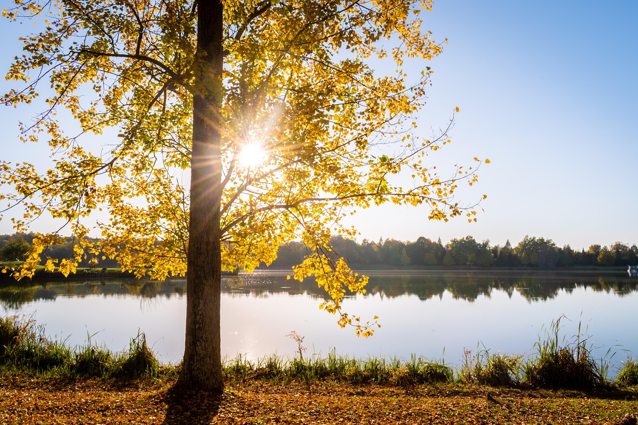 Wunderschöne Herbst Desktop Hintergründe