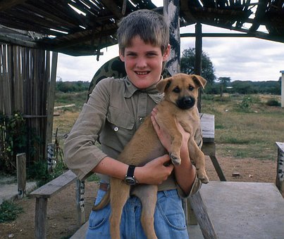 Free Dog Boy photo and picture