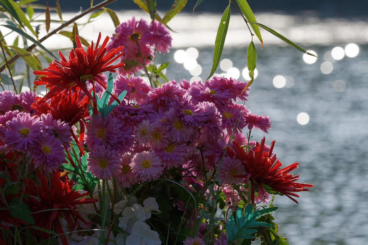 Flowers Group Colors - Free photo on Pixabay - Pixabay