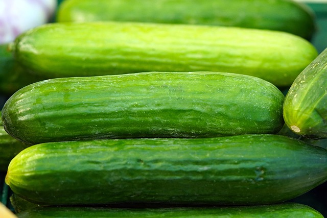 Cucumbers Vegetables Nourishment - Free photo on Pixabay