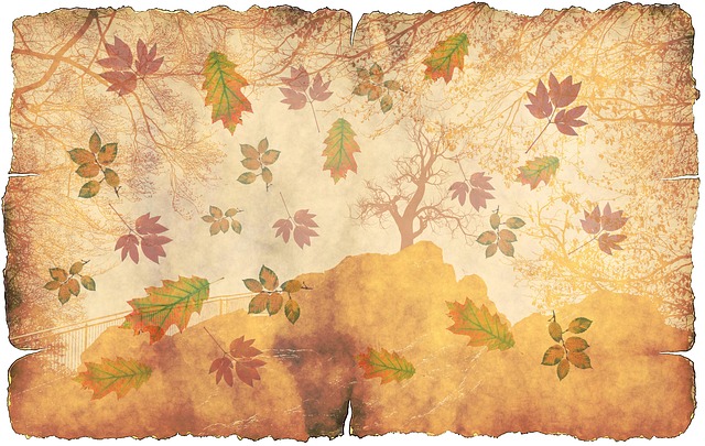 Free fall leaves forest illustration