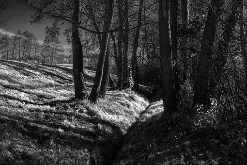 Bw, Natur, Landskab, Himmel, Skyer, Vejr