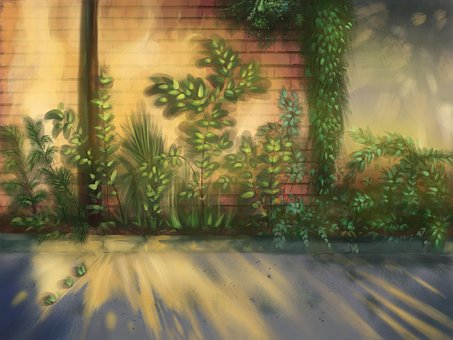Lumina, Perete, Plante, Atmosfera