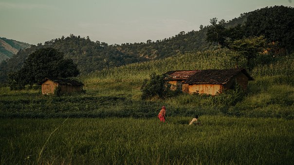 Granja, Agricultura, Rural, Mujeres