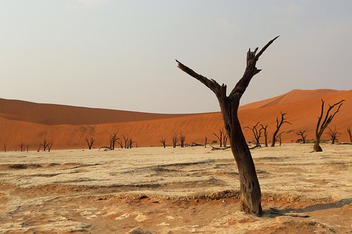 Deadvlei, Tote Bäume, Namib, Wüste