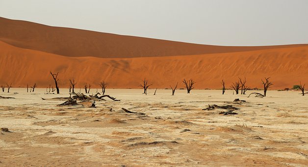Salz-Ton-Pfanne, Natur, Sossusvlei