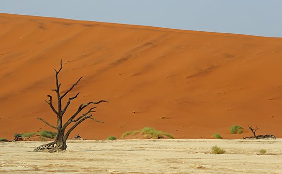Namib, Wüste, Namibia, Afrika, Natur