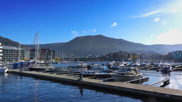 Ulriken, Bergen, Haven, Natuur