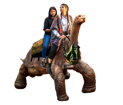 Schildkröte, Tier, Frauen, Riese