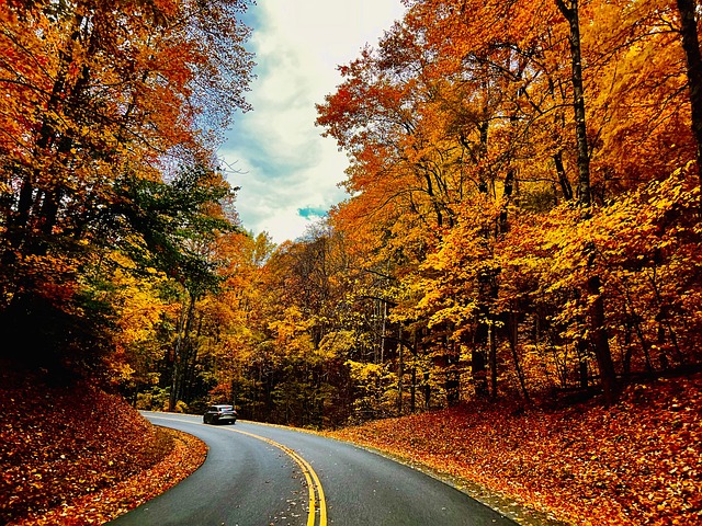 Landschaft, Herbst