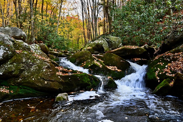 Natur, Landschaft, Berg