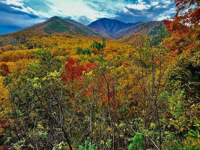 Reisen, Herbst, Natur, Berg