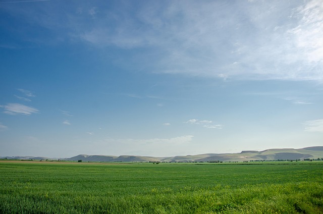 Die Natur, Feder, Schöne, Grün, Wolke