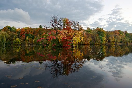 Free Pond Nature photo and picture